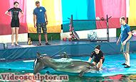 Креативный День Рождения - бассейн, дельфины!